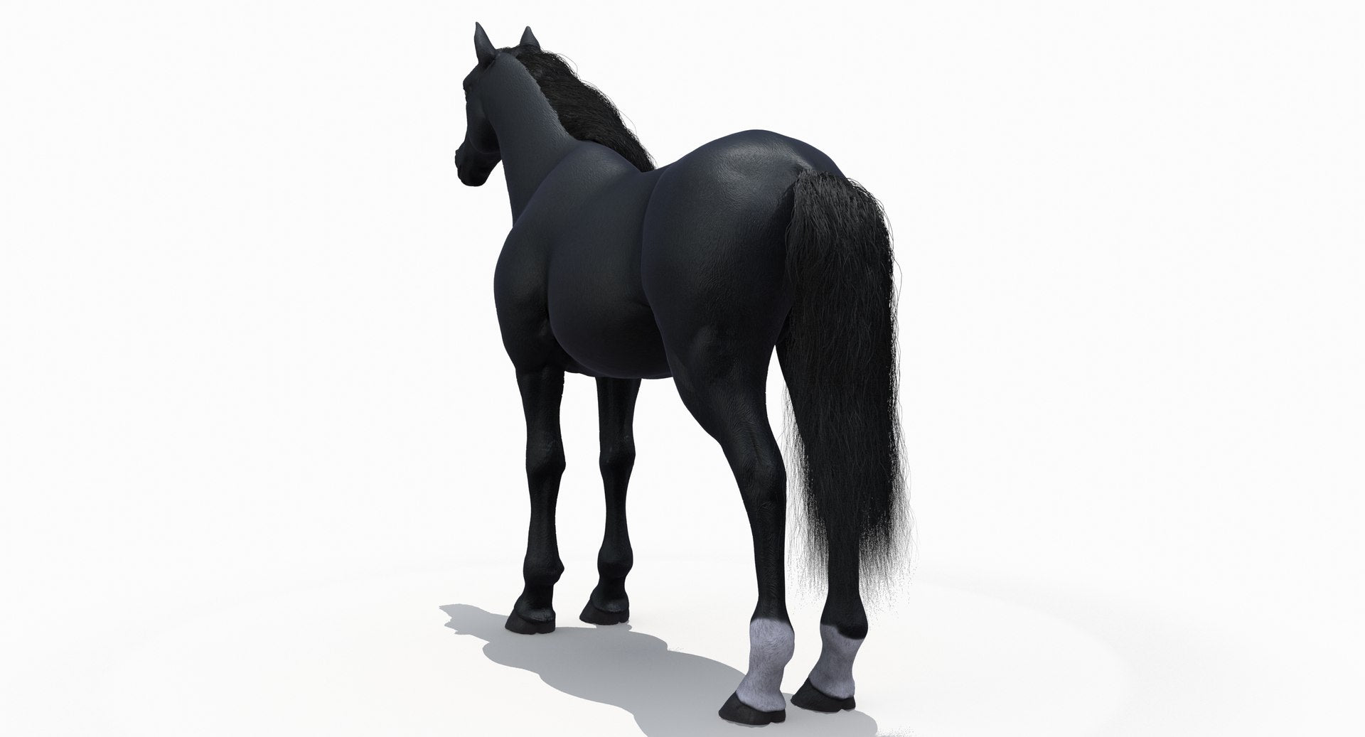 Black Horse 3D Model Fur