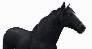 Black Horse 3D Model Fur Thumbnail