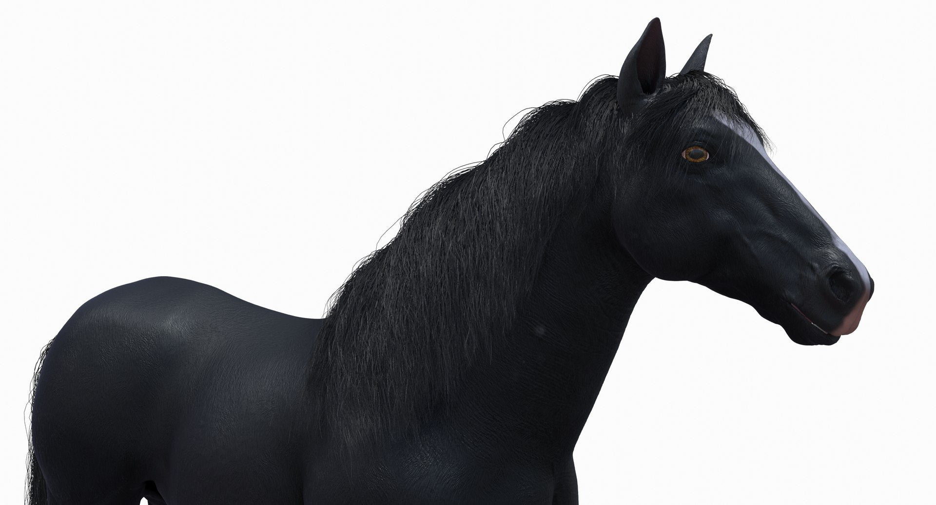 Black Horse 3D Model Fur