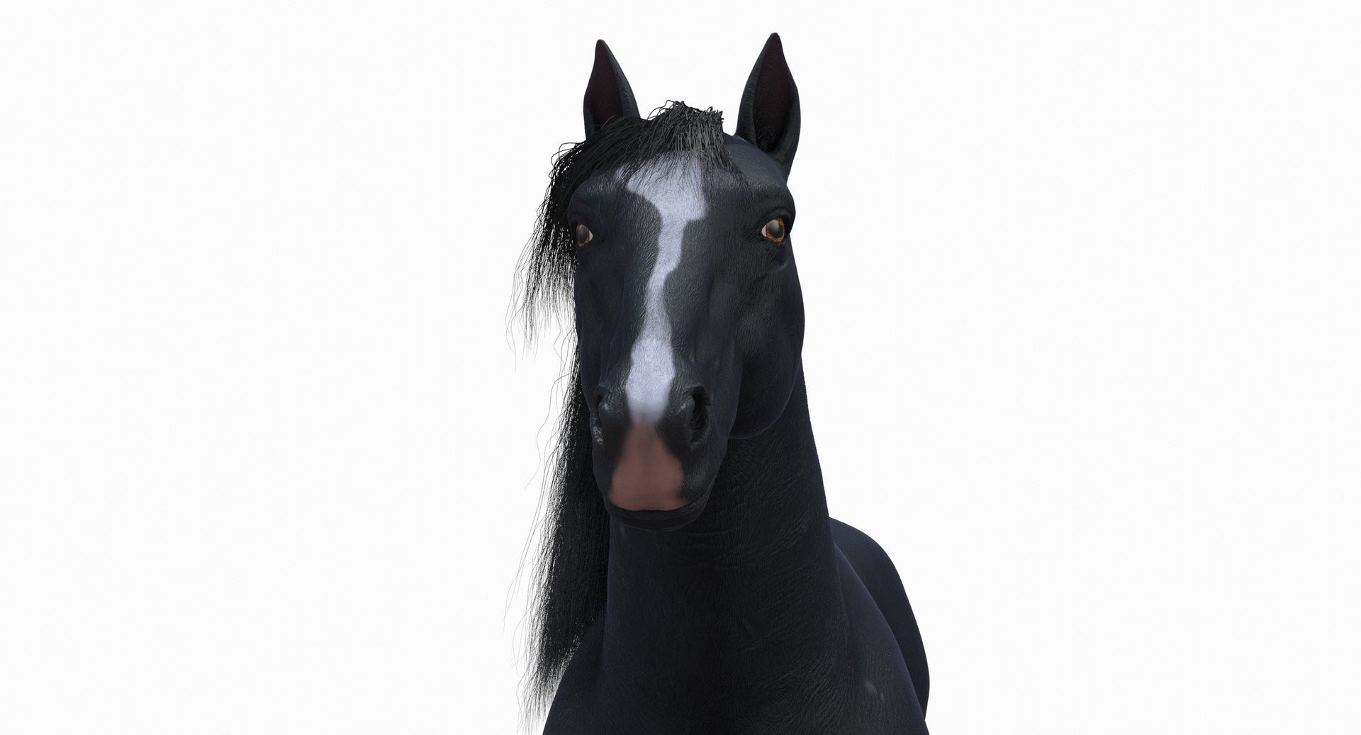 Black Horse 3D Model Fur