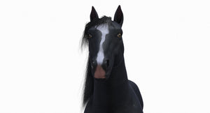 Black Horse 3D Model Fur Thumbnail