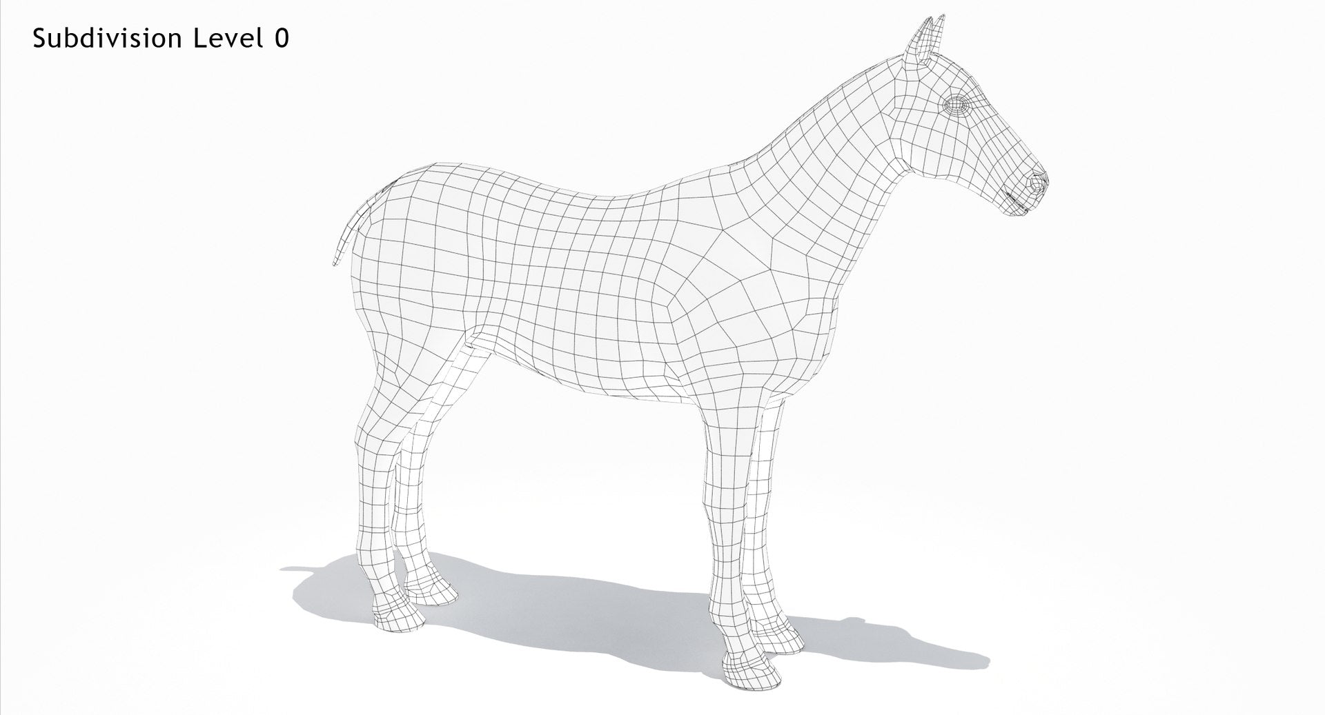 Black Horse 3D Model Fur