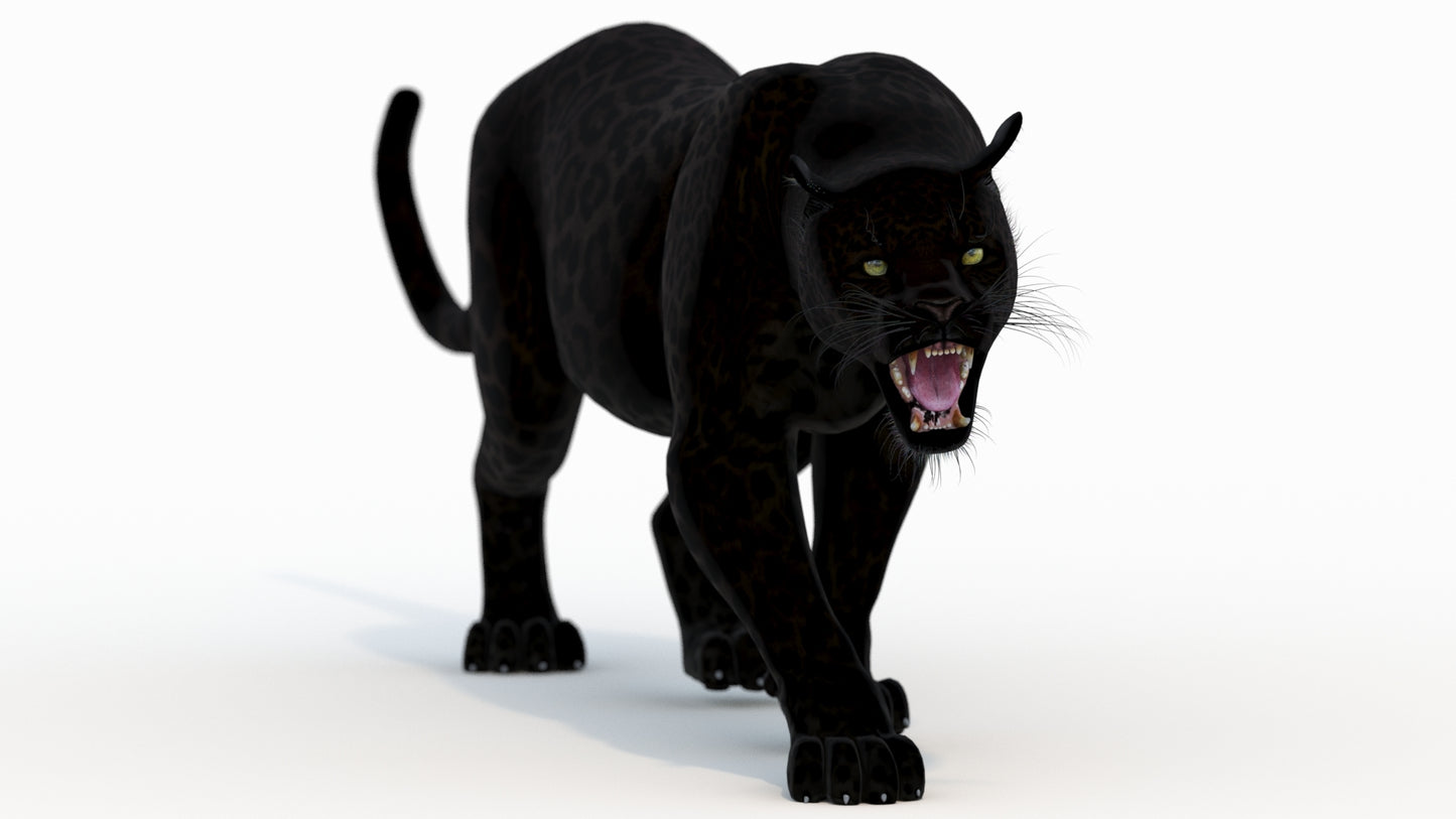 Animated Black Panther Animal 3D Model