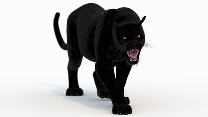 Animated Black Panther Animal 3D Model