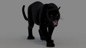 Realistic Black Panther 3D Model Animated Thumbnail