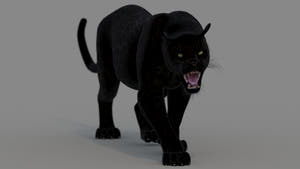 Realistic Black Panther 3D Model Animated Thumbnail
