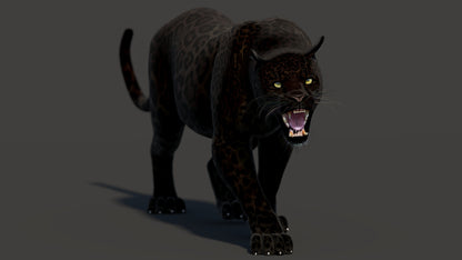 Animated Black Panther Animal 3D Model