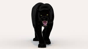 Lifelike Black Panther 3D Model Rigged and Animated Thumbnail