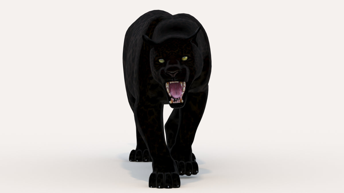 Lifelike Black Panther 3D Model Rigged and Animated