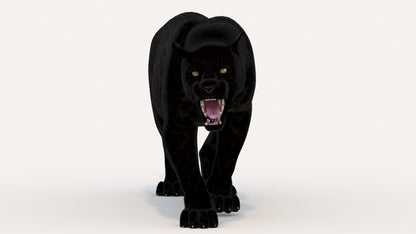 Animated Black Panther Animal 3D Model