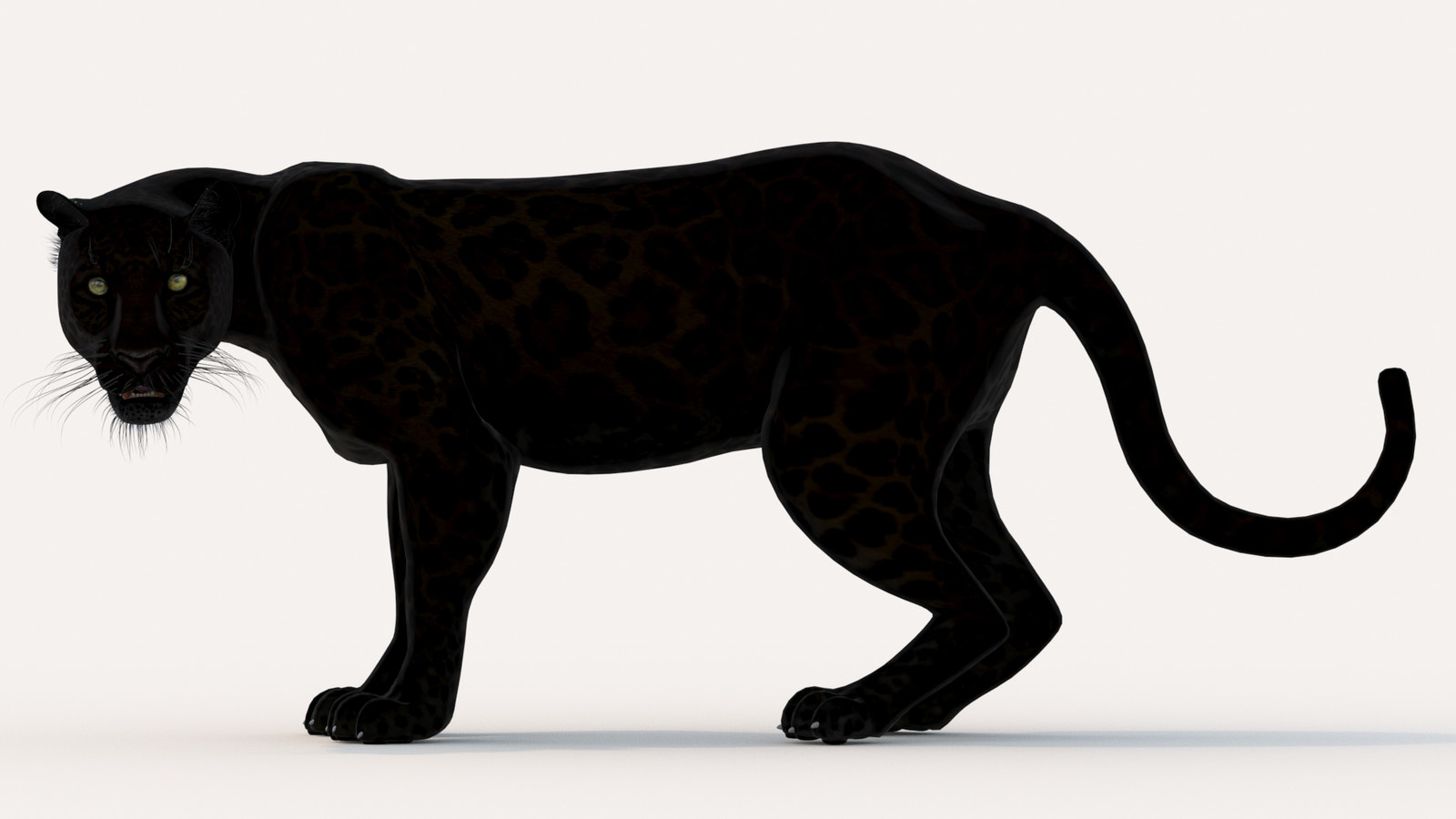 Animated Black Panther Animal 3D Model 