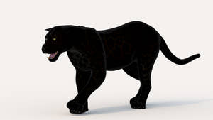 Black Panther 3D Model Walking on white background Thumbnail