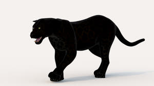 Black Panther 3D Model Walking on white background Thumbnail