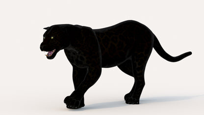 Animated Black Panther Animal 3D Model