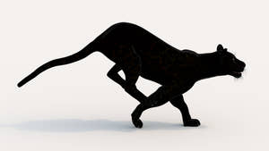 Realistc Running Black Panther 3D Model with Rigging and animations Thumbnail
