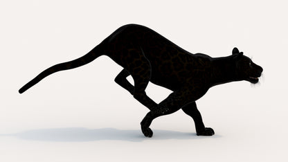 Animated Black Panther Animal 3D Model