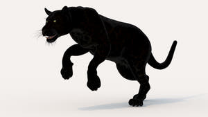 Black panther 3d model Jumping on a white background Thumbnail