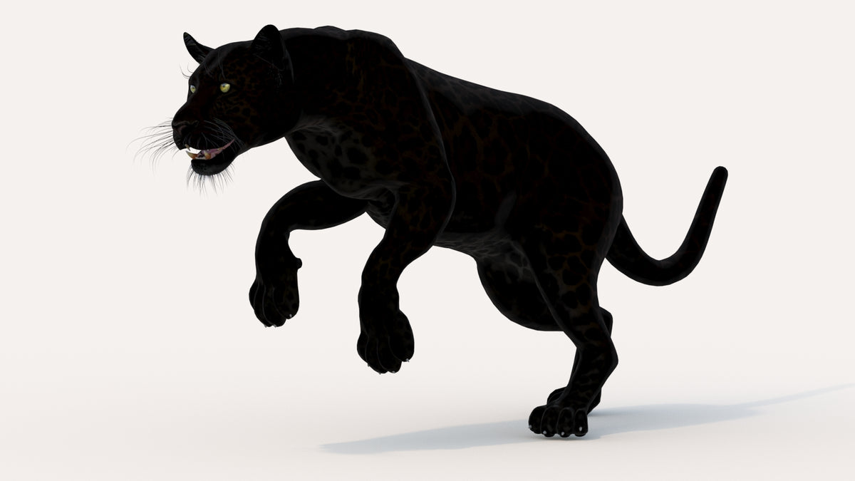 Black panther 3d model Jumping on a white background