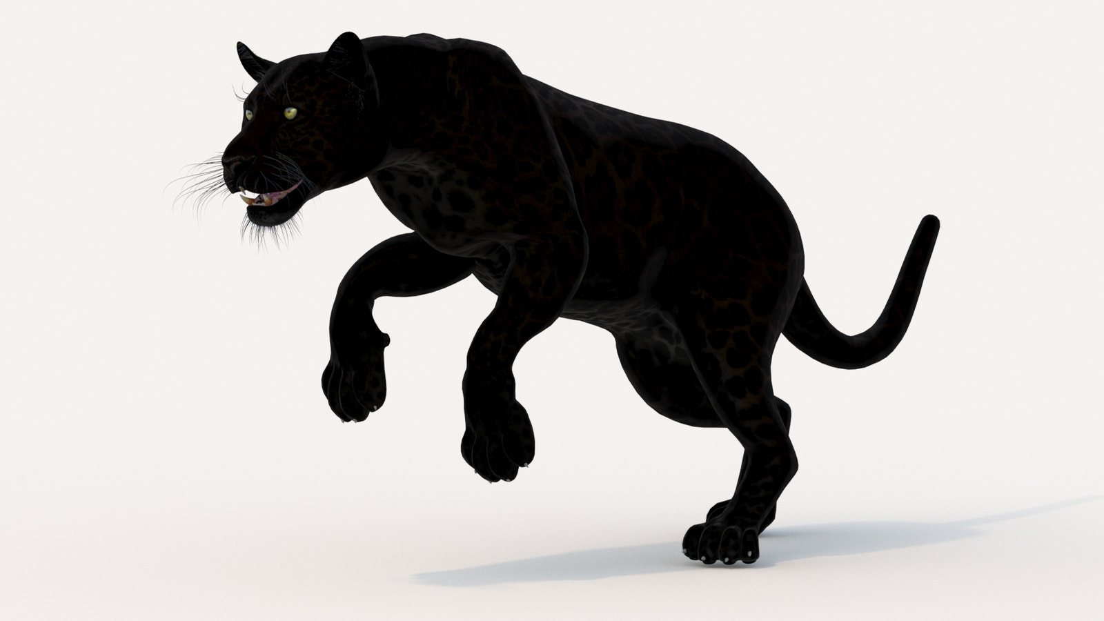 Black panther 3d model Jumping on a white background