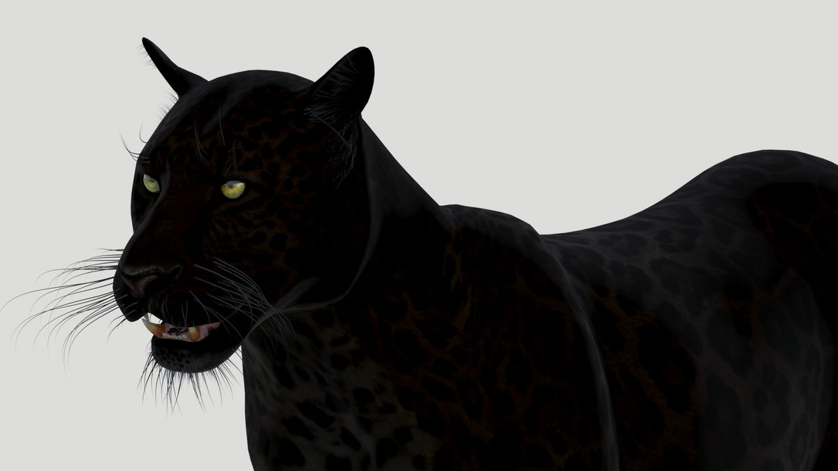 Black panther 3d model close up look for your game
