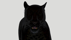 Black Panther 3D Model head close up, eyes closed Thumbnail