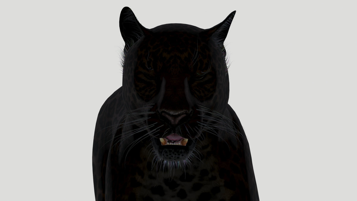 Black Panther 3D Model head close up, eyes closed