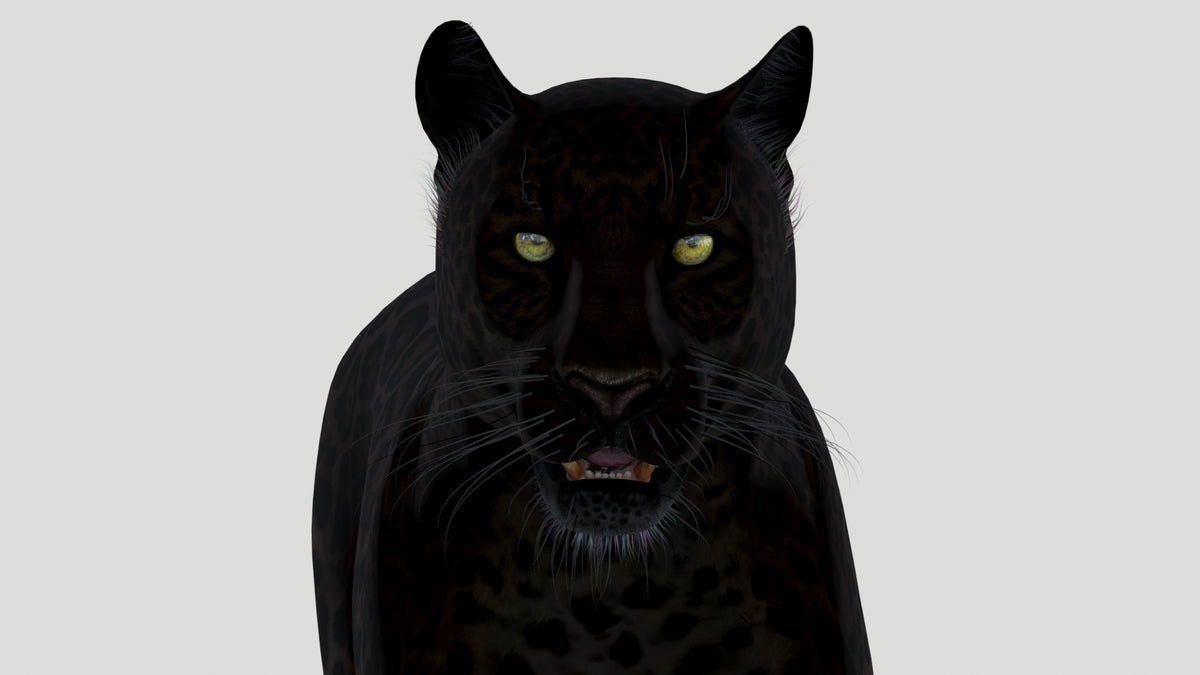 Black panther with glowing green eyes on a white background