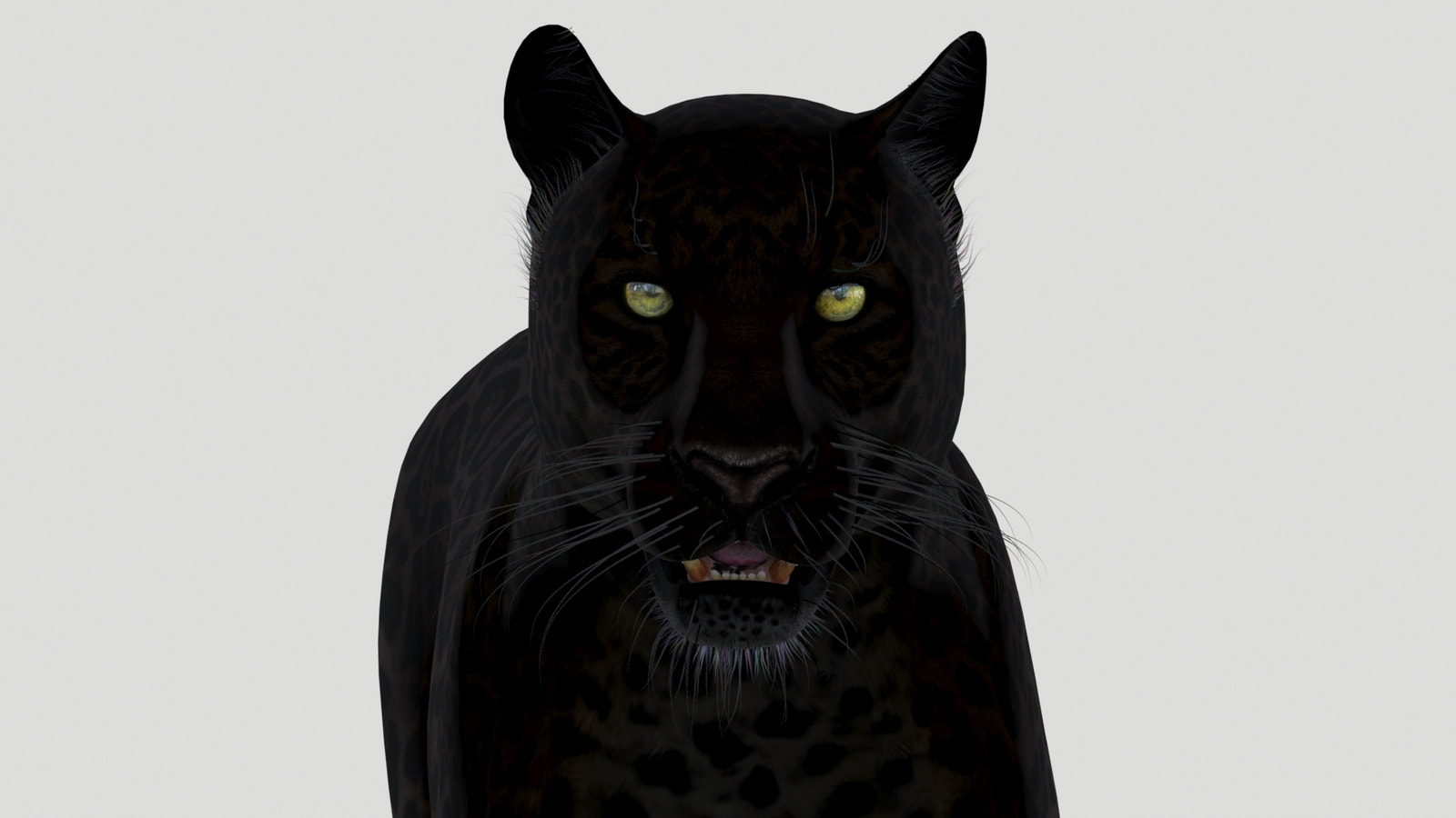 Black panther with glowing green eyes on a white background