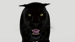 Black panther roaring 3d mdoels with a white background Thumbnail