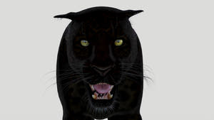 Black panther roaring 3d mdoels with a white background Thumbnail