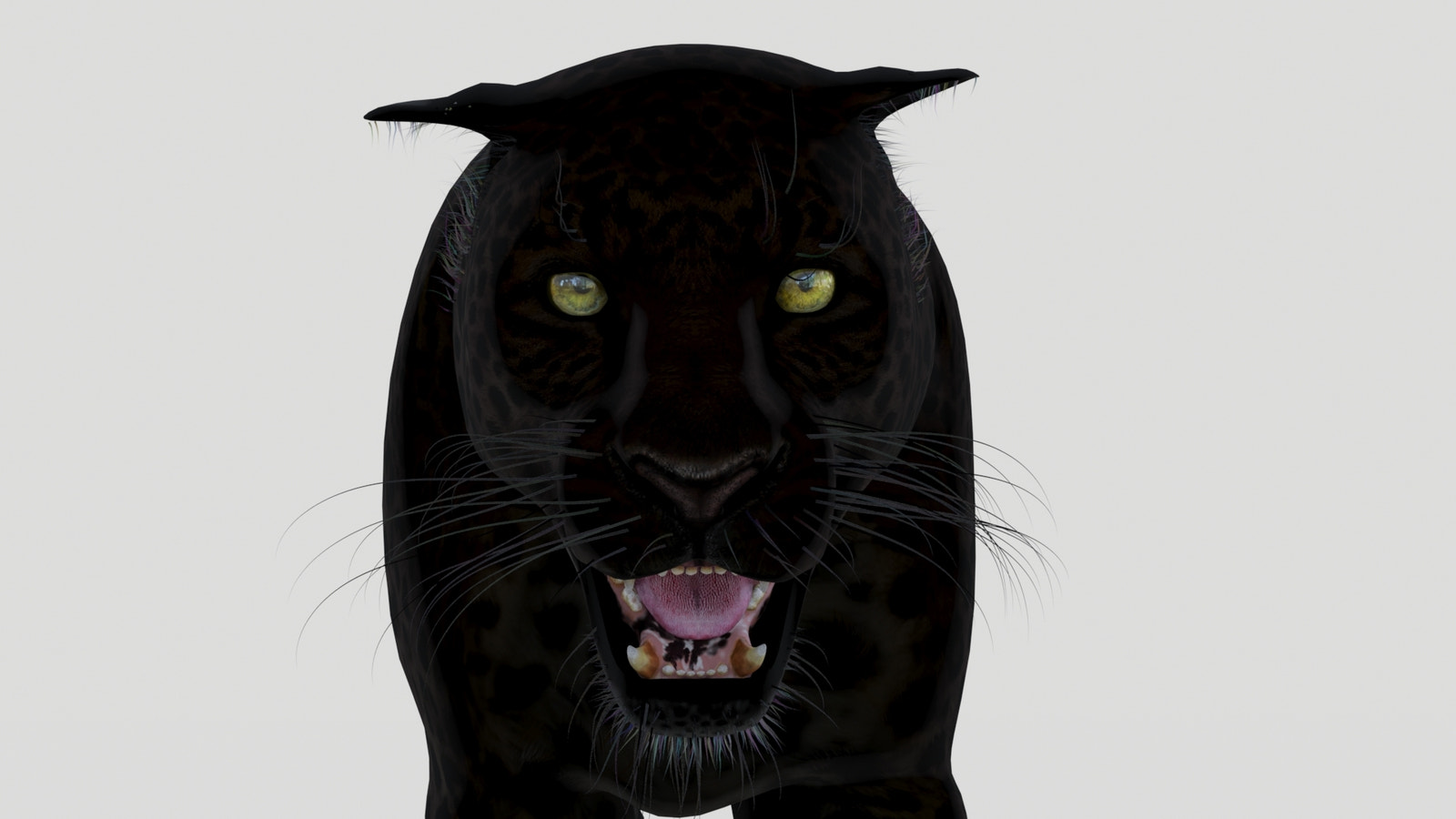 Black panther roaring 3d mdoels with a white background