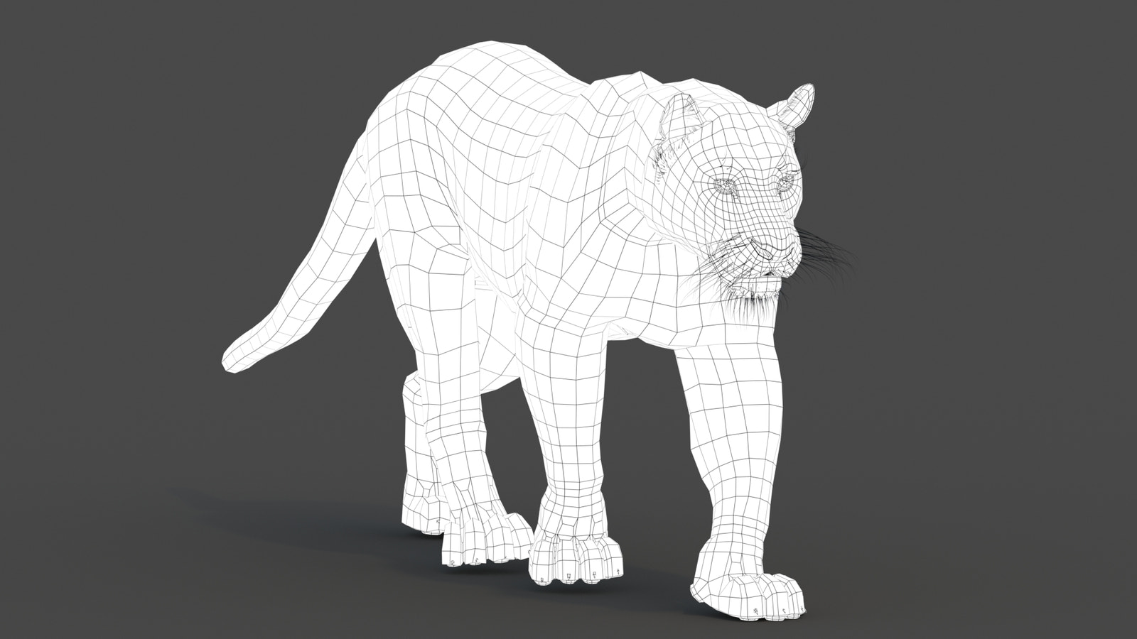Wireframe view of black panther 3d model