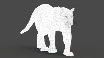 Animated Black Panther Animal 3D Model