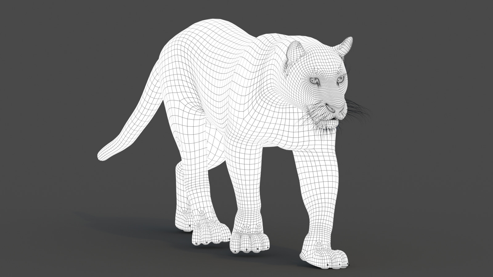 Wireframe view of black panther 3d model subdivision 1