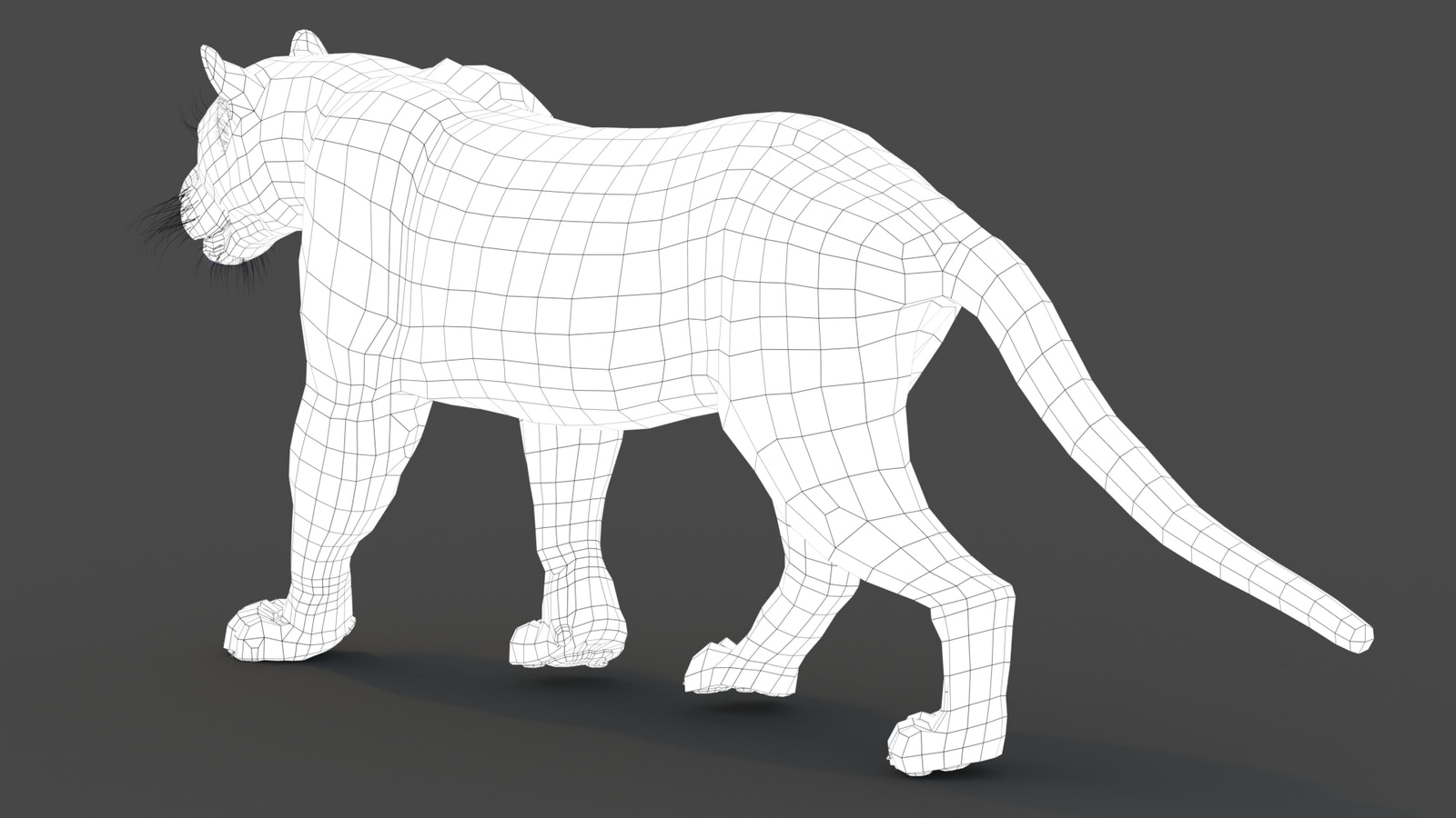 3D wireframe model of a panther on a dark background