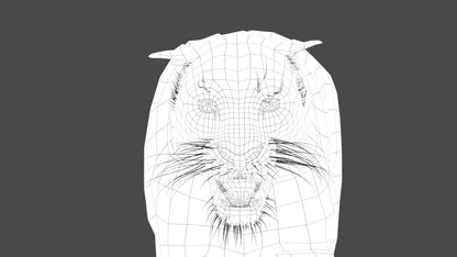 Animated Black Panther Animal 3D Model