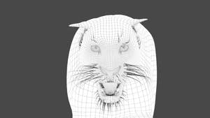 3D wireframe model of a tiger head on a black background Thumbnail