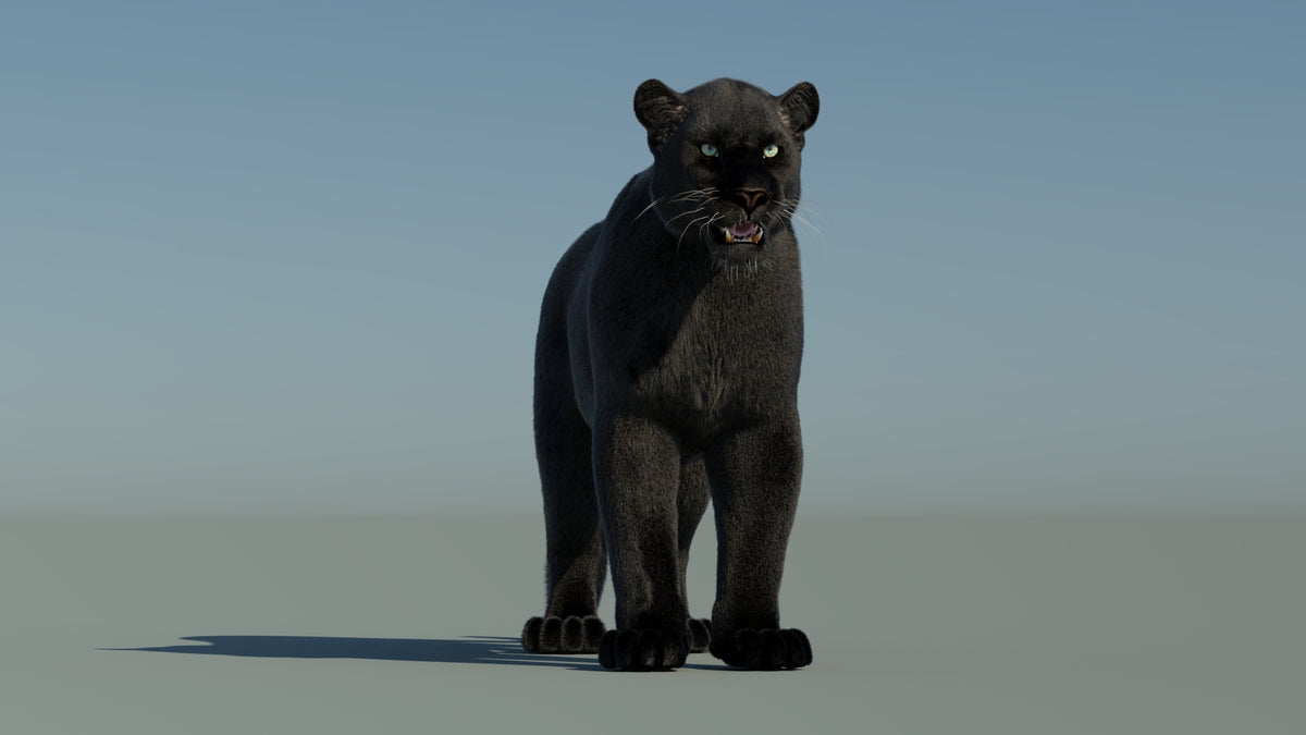 Black Panther 3D Model with Fur - 360 Degree View