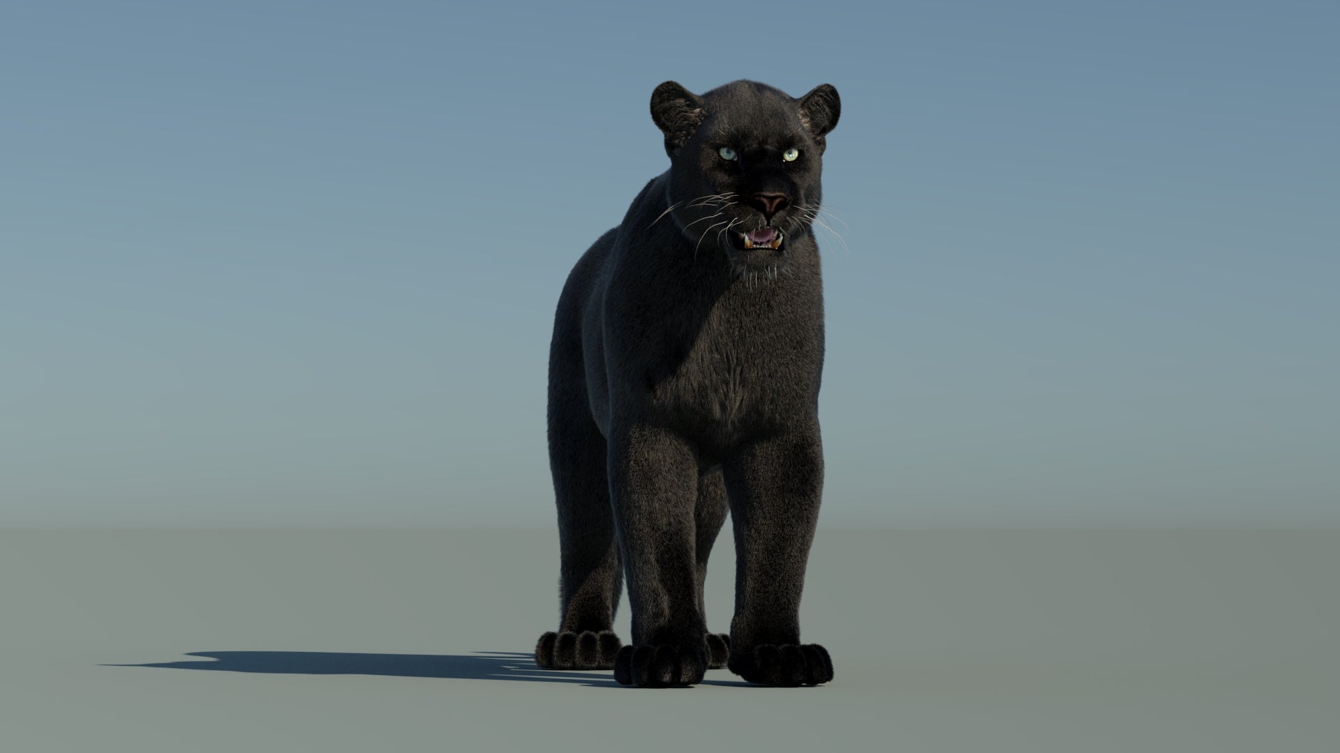 Black Panther 3D Model with Fur - 360 Degree Interactive View