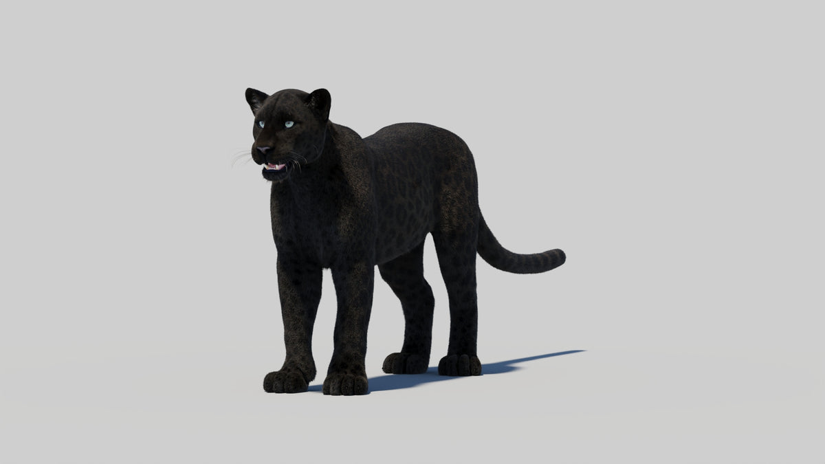 Black Panther 3D Model with Realistic Fur - 360 Degree View
