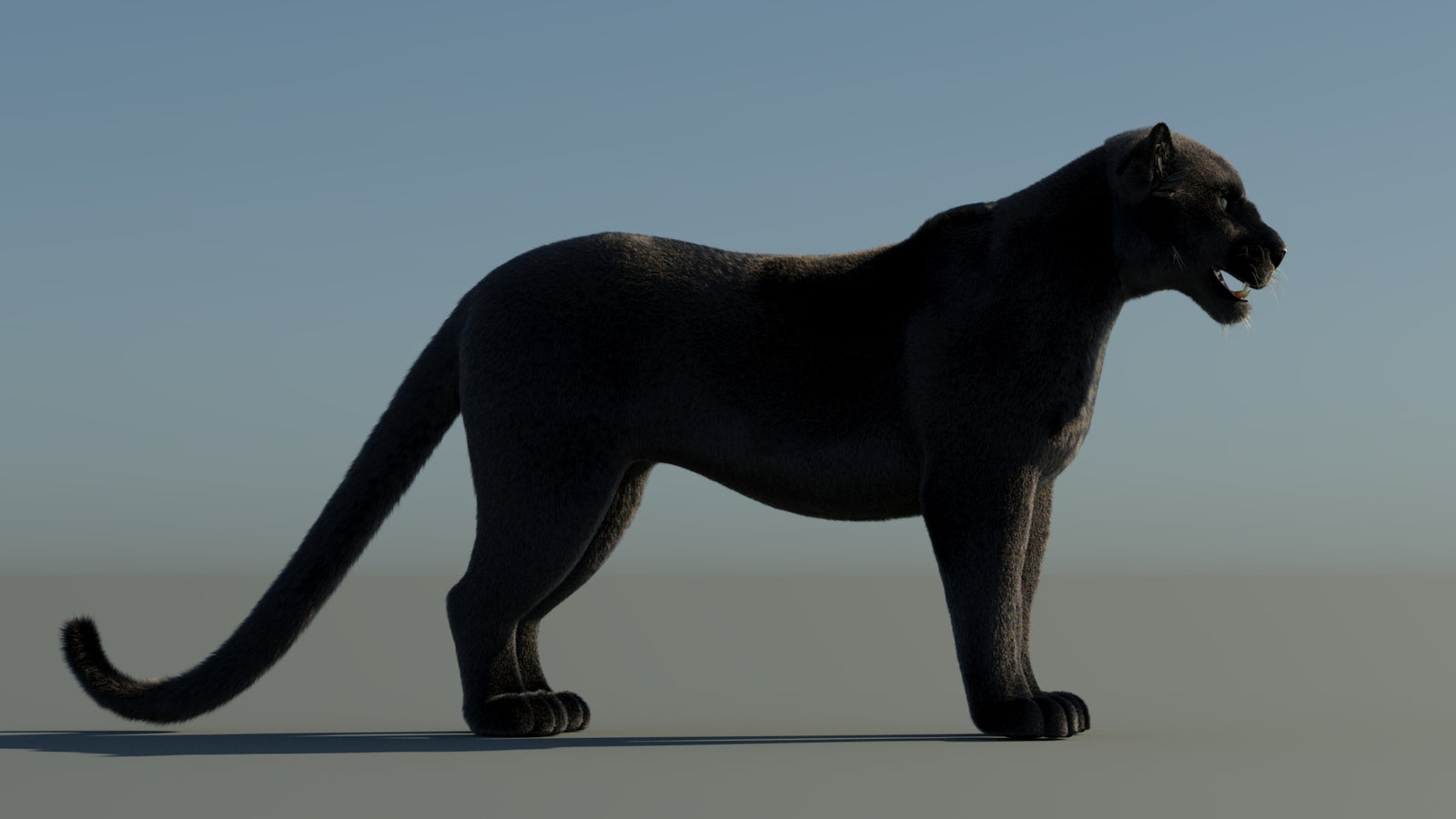 Black Panther 3D Model with Fur 360° view 1 frame 8