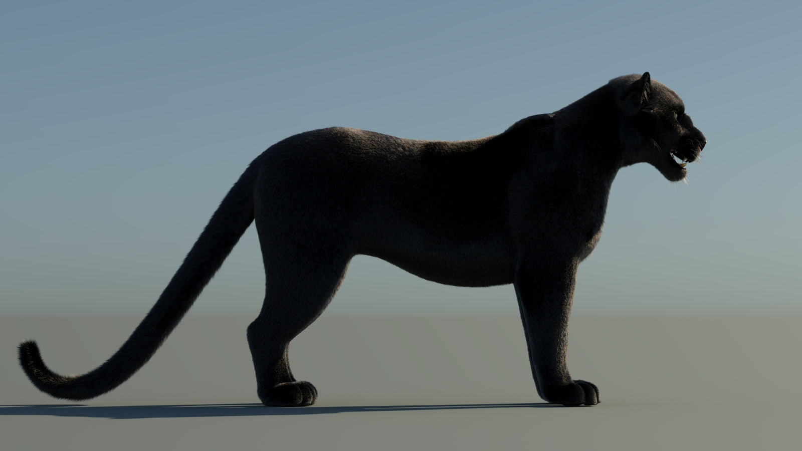 Black Panther 3D Model with Fur 360° view 1 frame 9