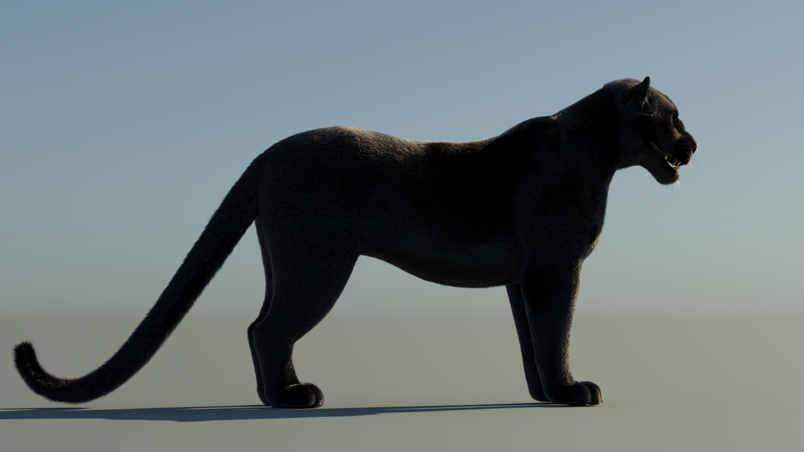 Black Panther 3D Model with Fur 360° view 1 frame 10