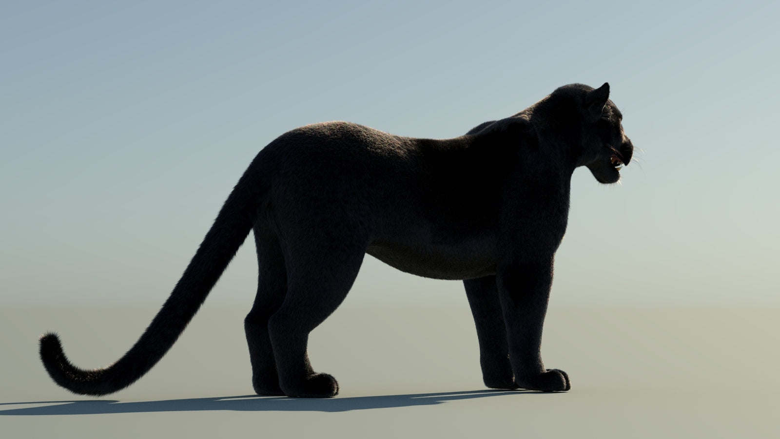 Black Panther 3D Model with Fur 360° view 1 frame 12