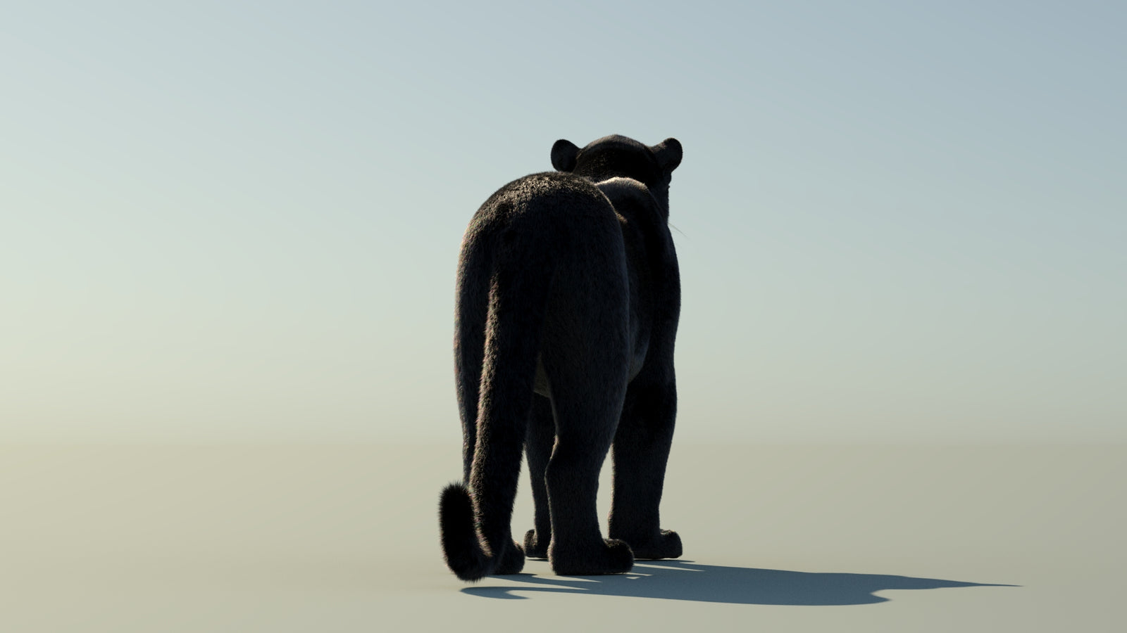 Black Panther 3D Model with Fur 360° view 1 frame 17