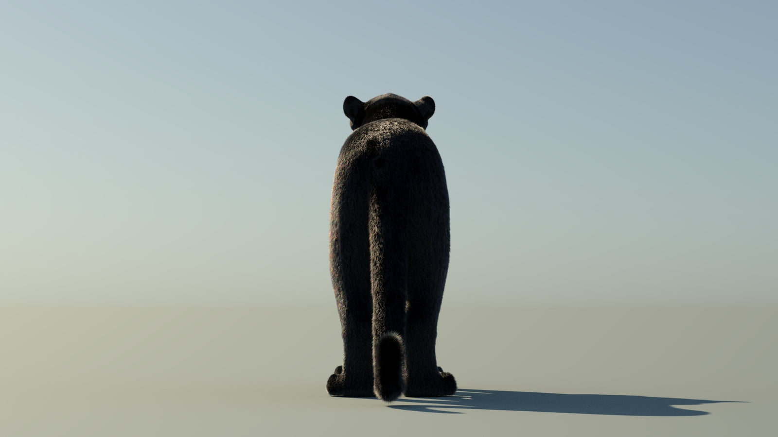 Black Panther 3D Model with Fur 360° view 1 frame 18