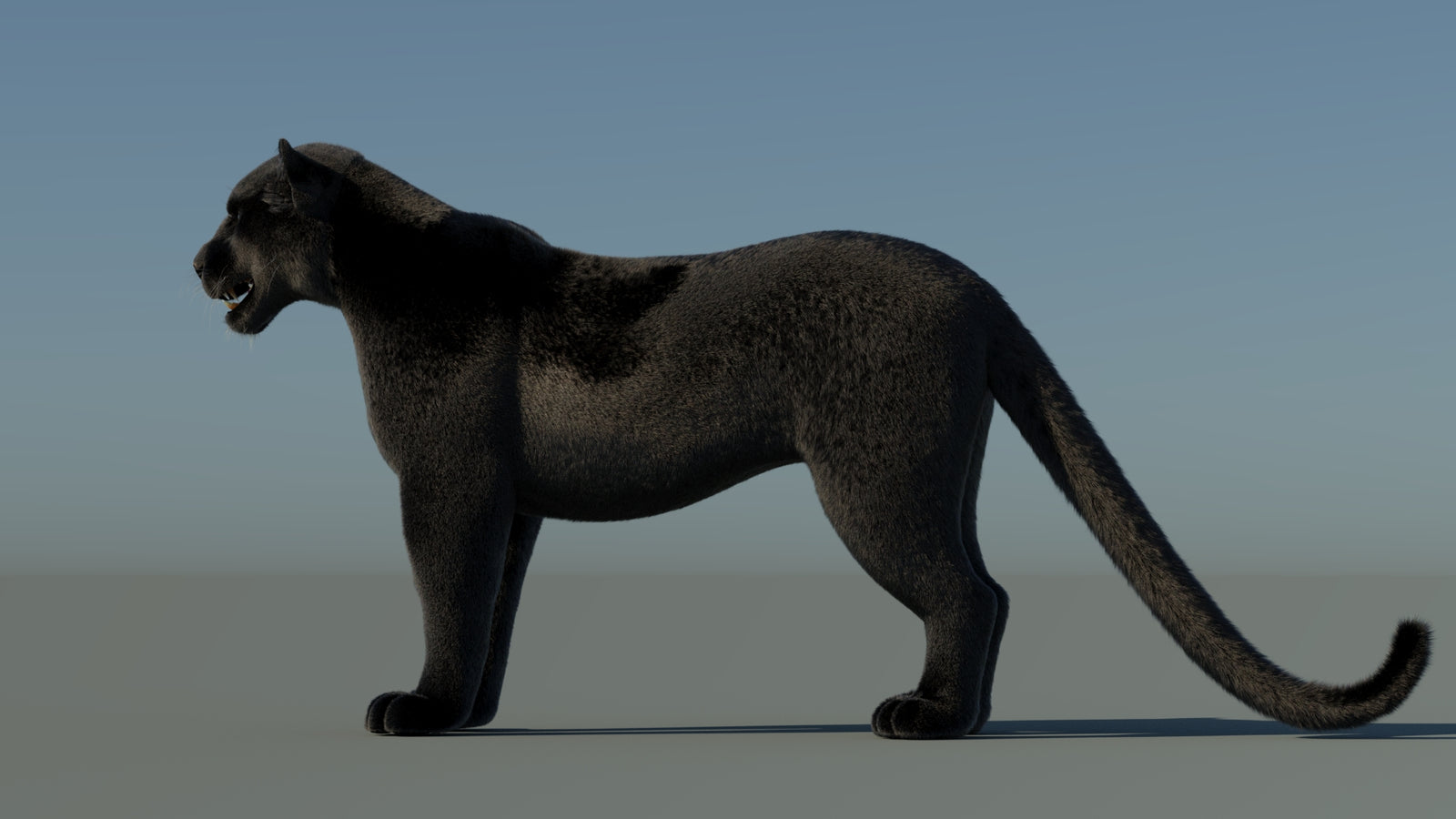Black Panther 3D Model with Fur 360° view 1 frame 26