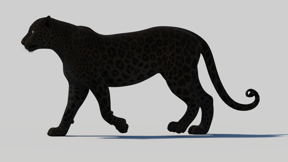 Animated Black Panther 3D Model - 360 Degree View