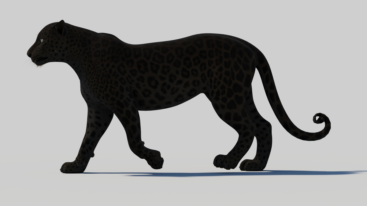 Animated Black Panther 3D Model - 360 Degree View
