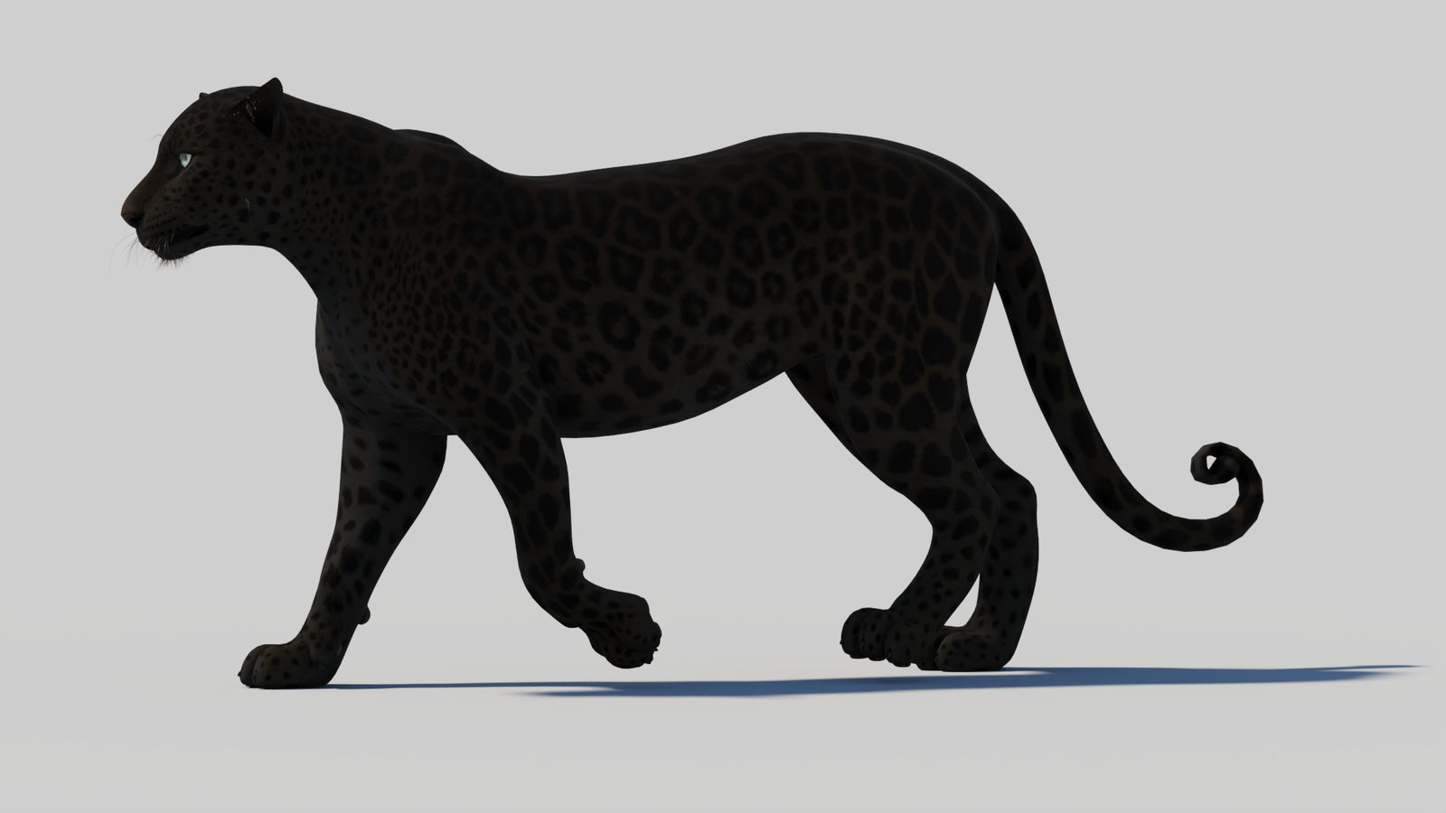 Animated Black Panther 3D Model 360° view 1 frame 2